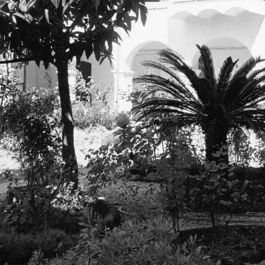 alberti_13_03_reg13562